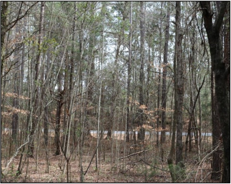 11.25 Acres in Neshoba County in Philadelphia  MS featured image