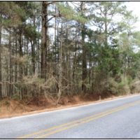 11.25 Acres in Neshoba County in Philadelphia  MS images 2