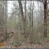11.25 Acres in Neshoba County in Philadelphia  MS images 6