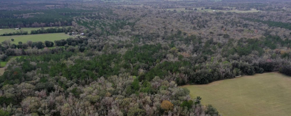 Bradford County Hunting Tract featured image