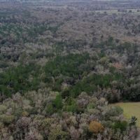 Bradford County Hunting Tract