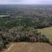 Bradford County Hunting Tract images 2