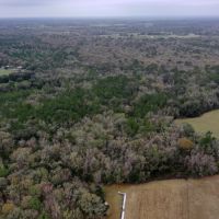Bradford County Hunting Tract images 3
