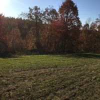 139 unrestricted acres