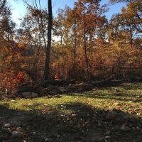 139 unrestricted acres images 4