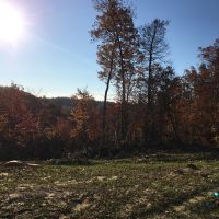 139 unrestricted acres images 6
