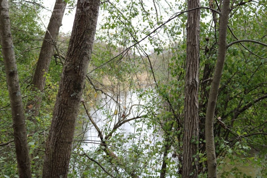 Dodge County Wisconsin Hunting Land For Sale featured image