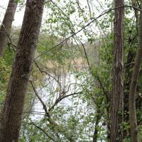 Dodge County Wisconsin Hunting Land For Sale