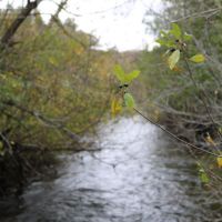 Dodge County Wisconsin Hunting Land For Sale images 5