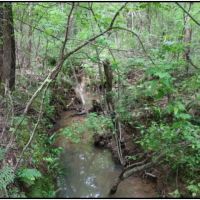 94 Acres with a Home in Winston County at 443 Kerr Adams Mills Road in Louisville  MS images 4