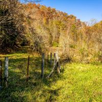 Almost 10 Acres Unrestricted with Creek