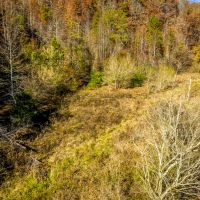 Almost 10 Acres Unrestricted with Creek images 4