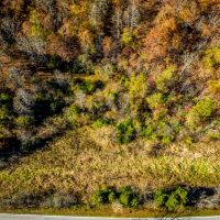 Almost 10 Acres Unrestricted with Creek images 5