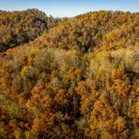 Almost 10 Acres Unrestricted with Creek images 6