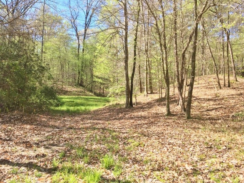 Hunting Cabin 309 Acres Woodville  Wilkinson County MS featured image