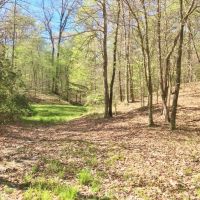 Hunting Cabin 309 Acres Woodville  Wilkinson County MS