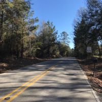 46 Acres Tangipahoa Parish  LA images 4