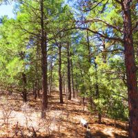 D35 Santa Fe Trail Ranch images 2