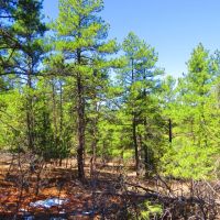 D35 Santa Fe Trail Ranch images 4