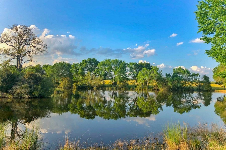 Rainbolt Ranch featured image