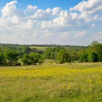 Rainbolt Ranch images 2