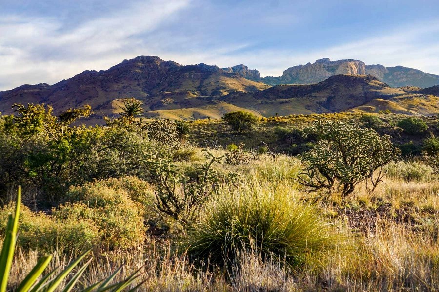 Gearhart Ranch featured image