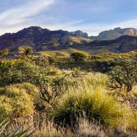 Gearhart Ranch