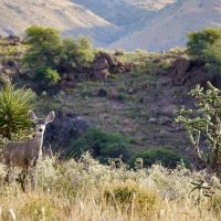 Gearhart Ranch images 6