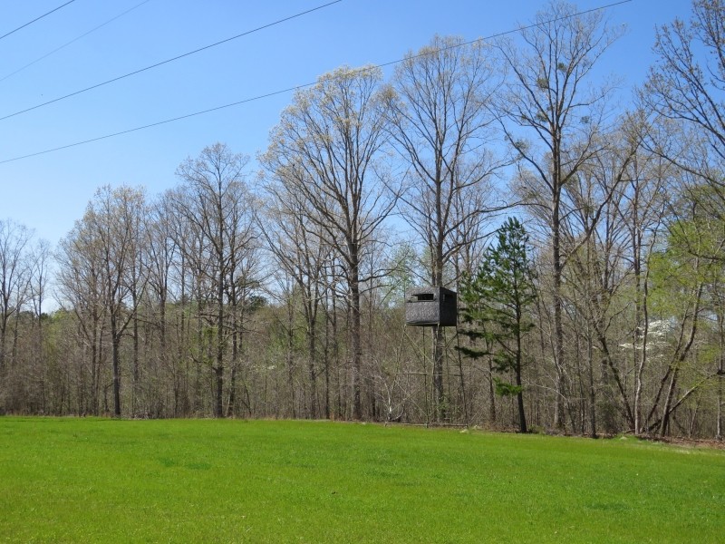 Rocky Creek Hunting Camp featured image