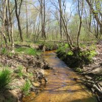 Rocky Creek Hunting Camp images 2