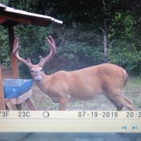 Rocky Creek Hunting Camp images 4