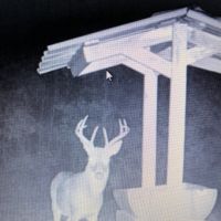 Rocky Creek Hunting Camp images 5