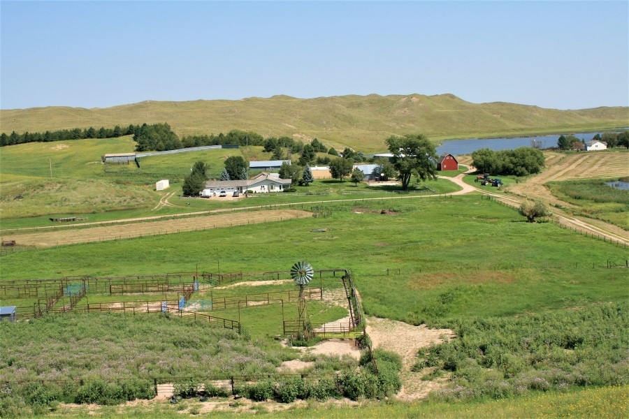 Productive Cattle Ranch For Sale in The Nebraska Sandhills featured image