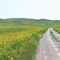 Productive Cattle Ranch For Sale in The Nebraska Sandhills images 3