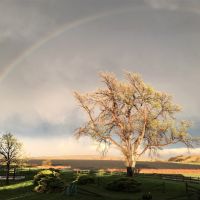Productive Cattle Ranch For Sale in The Nebraska Sandhills images 5