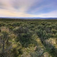 Juniper Mountain Ranch images 2