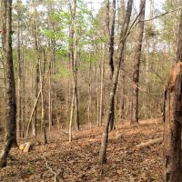29-062-mt-zion-152