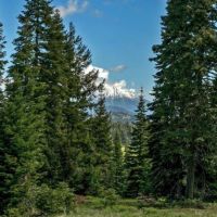 Ultimate Oregon Property  2993398 images 3