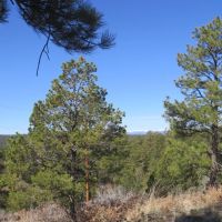 C36 Santa Fe Trail Ranch images 2