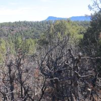 C36 Santa Fe Trail Ranch images 3