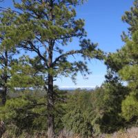 C36 Santa Fe Trail Ranch images 4