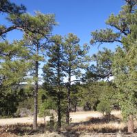 C36 Santa Fe Trail Ranch images 5