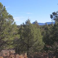 C36 Santa Fe Trail Ranch images 6