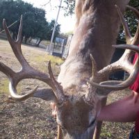 3000 acres, Stephens County