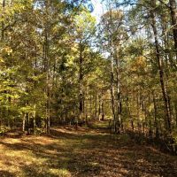 45-017-golson-plantation