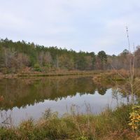 45-017-golson-plantation images 2