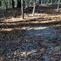45-017-golson-plantation images 4