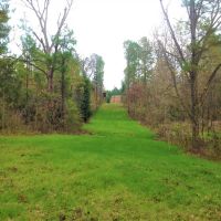 45-017-golson-plantation images 5