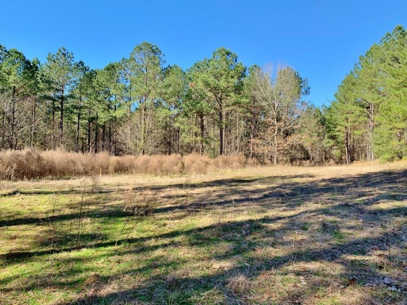 Secluded Hunting Land Bordering Homochitto National Forest featured image