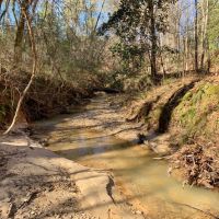 Secluded Hunting Land Bordering Homochitto National Forest images 4